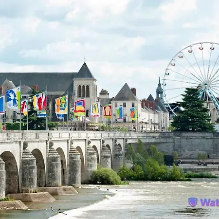 Lamproie Du Vieux *